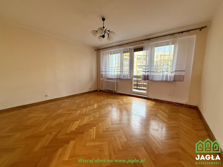 Oferta galeria zdjec
