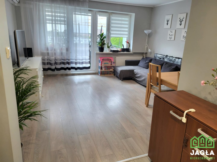Oferta galeria zdjec