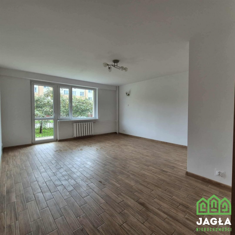Oferta galeria zdjec