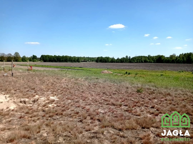 Oferta galeria zdjec