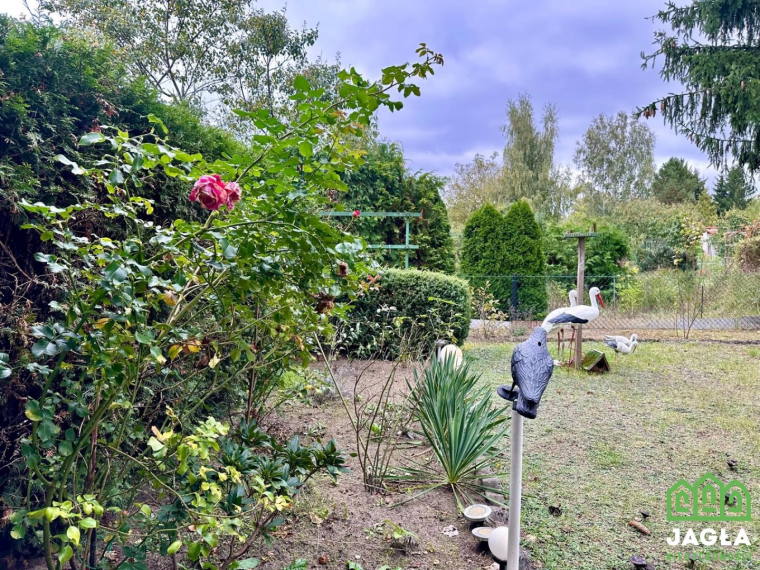 Oferta galeria zdjec