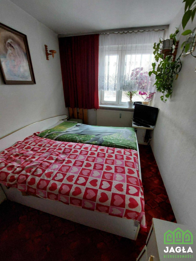 Oferta galeria zdjec