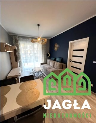 Oferta galeria zdjec