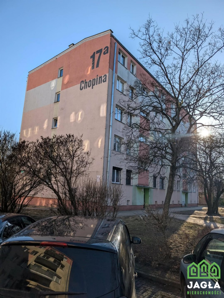 Oferta galeria zdjec