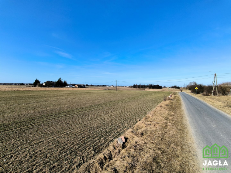 Oferta galeria zdjec