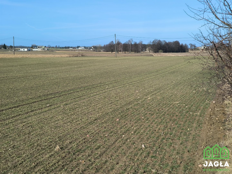 Oferta galeria zdjec