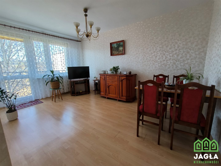 Oferta galeria zdjec