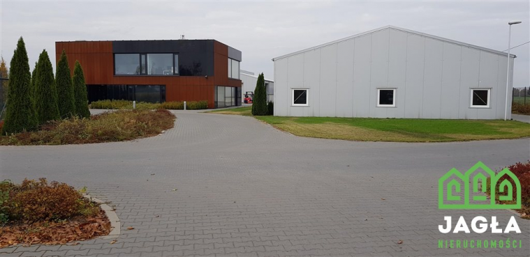 Oferta galeria zdjec
